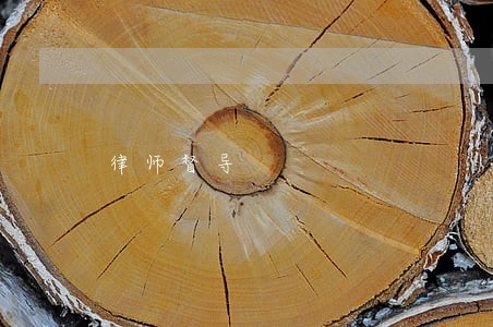 律师督导