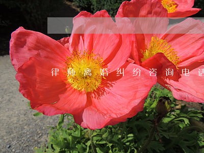 律师离婚纠纷咨询电话 律师离婚纠纷咨询电话