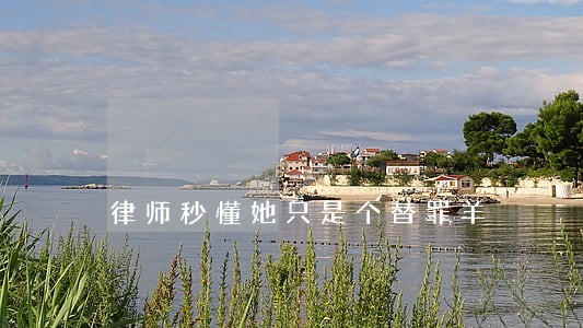 律师秒懂她只是个替罪羊 律师秒懂她只是个替罪羊
