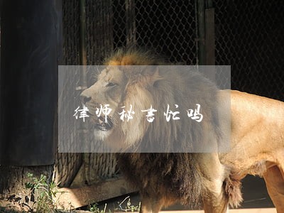 律师秘书忙吗