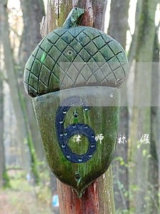 律师称假离婚后买房属个人财产 律师称假离婚后买房属个人财产