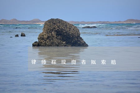 律师称投资者拟索赔 律师称投资者拟索赔
