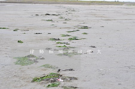 律师称缓刑可能大