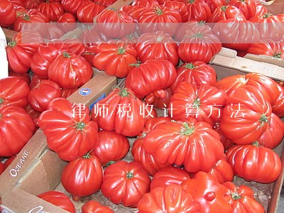 律师税收计算方法 律师税收计算方法
