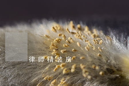 律师精装房 律师精装房