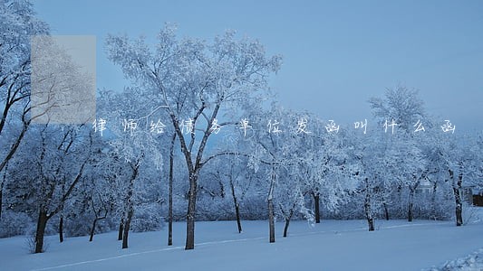 律师给债务单位发函叫什么函 律师给债务单位发函叫什么函