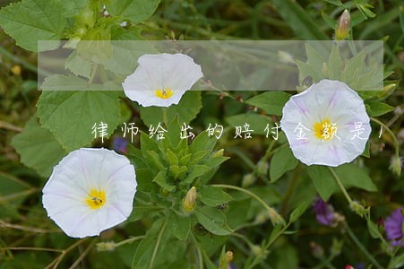 律师给出的赔付金额是12万3 律师给出的赔付金额是12万3