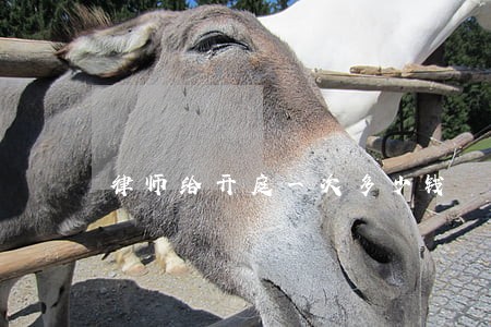 律师给开庭一次多少钱 律师给开庭一次多少钱