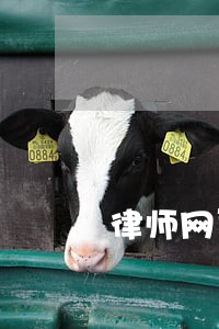 律师网页设计 律师网页设计
