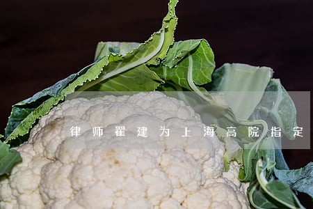 律师翟建为上海高院指定
