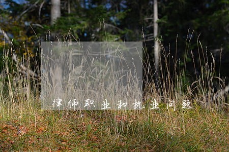 律师职业和执业问题 律师职业和执业问题