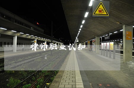 律师职业认知
