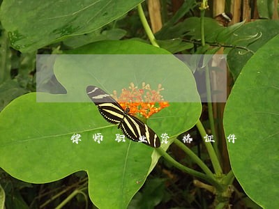 律师职业资格证件 律师职业资格证件