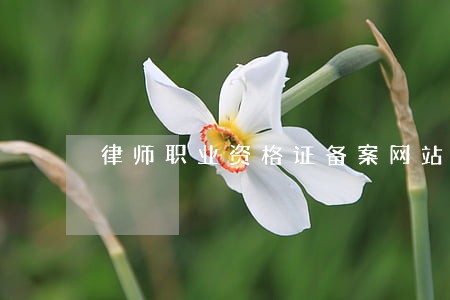 律师职业资格证备案网站