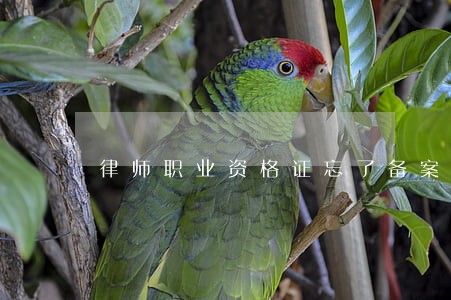 律师职业资格证忘了备案 律师职业资格证忘了备案