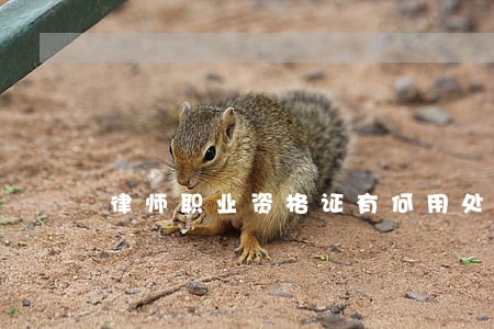 律师职业资格证有何用处 律师职业资格证有何用处