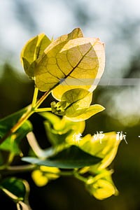 律师职业资格证难嘛 律师职业资格证难嘛