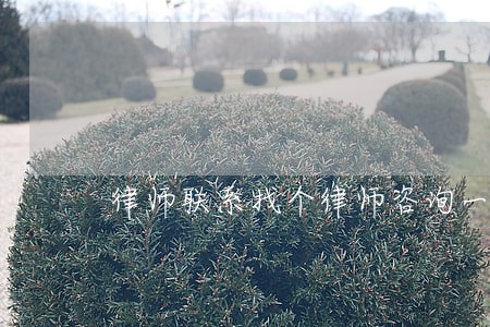 律师联系找个律师咨询一下 律师联系找个律师咨询一下