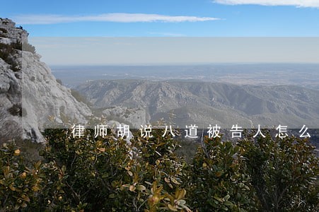 律师胡说八道被告人怎么办