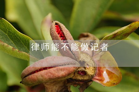 律师能不能做记者 律师能不能做记者