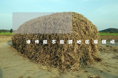 律师能不能跨地区保释呀