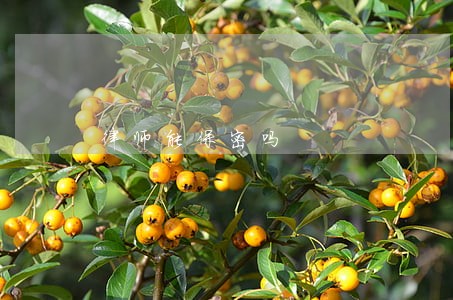 律师能保密吗 律师能保密吗