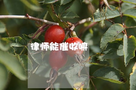律师能催收嘛 律师能催收嘛