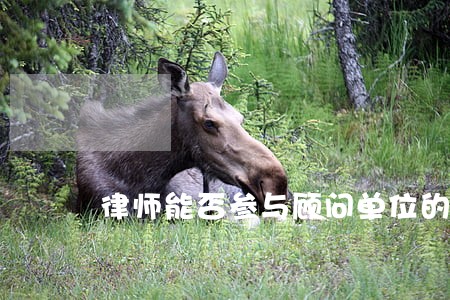 律师能否参与顾问单位的听证 律师能否参与顾问单位的听证