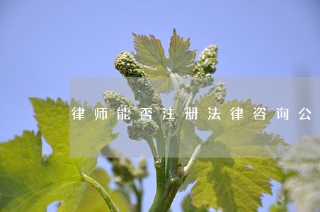 律师能否注册法律咨询公司 律师能否注册法律咨询公司