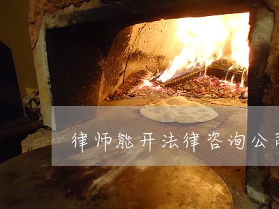 律师能开法律咨询公司吗