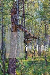 律师能当无罪辩护吗 律师能当无罪辩护吗
