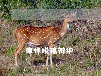 律师脱稿辩护 律师脱稿辩护