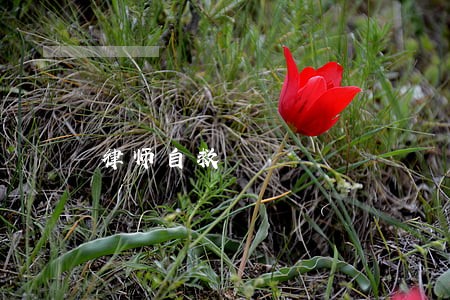律师自救 律师自救