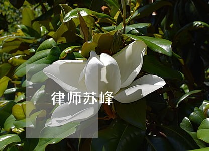 律师苏峰 律师苏峰