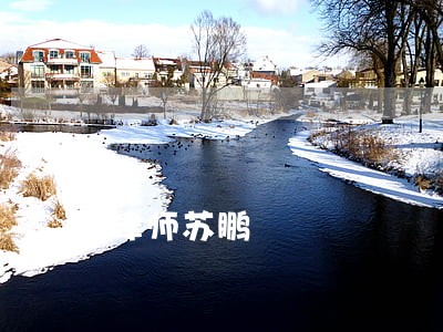 律师苏鹏 律师苏鹏