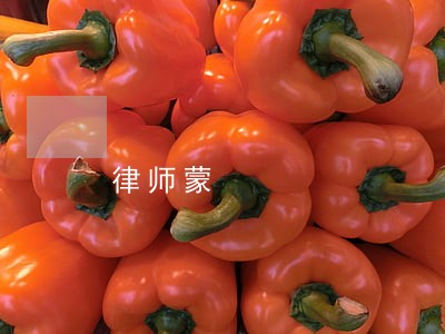 律师蒙 律师蒙