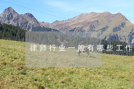 律师行业一般有哪些工作 律师行业一般有哪些工作