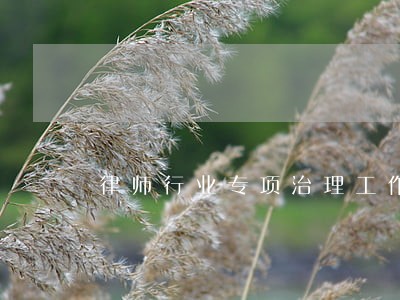 律师行业专项治理工作汇报 律师行业专项治理工作汇报