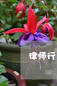 律师行业创收