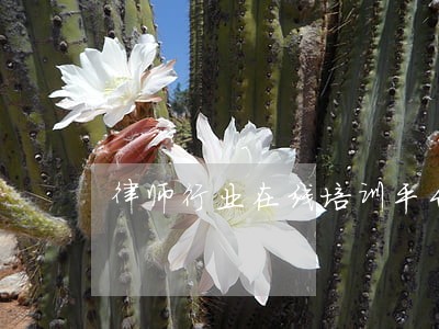 律师行业在线培训平台软件著作权 律师行业在线培训平台软件著作权