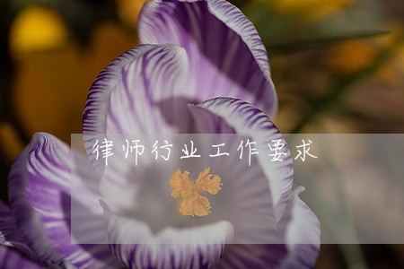 律师行业工作要求