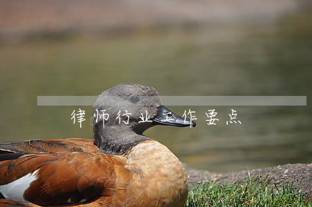 律师行业工作要点 律师行业工作要点
