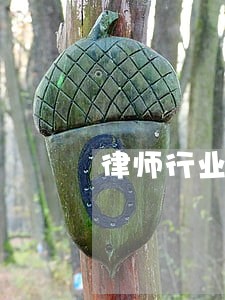 律师行业开展突出问题专项治理工作 律师行业开展突出问题专项治理工作