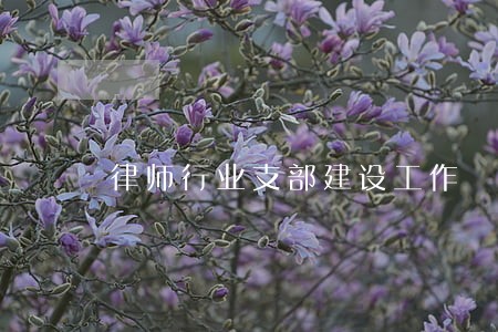 律师行业支部建设工作 律师行业支部建设工作