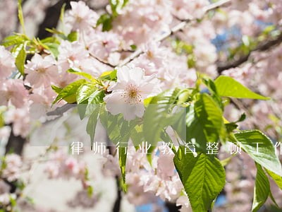 律师行业教育整顿工作小结 律师行业教育整顿工作小结