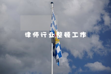 律师行业整顿工作