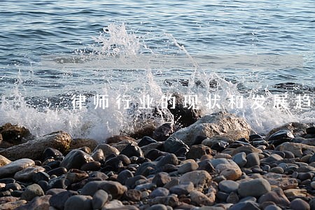 律师行业的现状和发展趋势 律师行业的现状和发展趋势