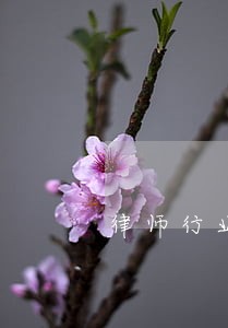 律师行业的税收分类编码 律师行业的税收分类编码