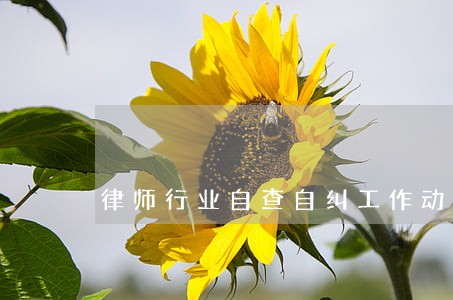 律师行业自查自纠工作动员会 律师行业自查自纠工作动员会