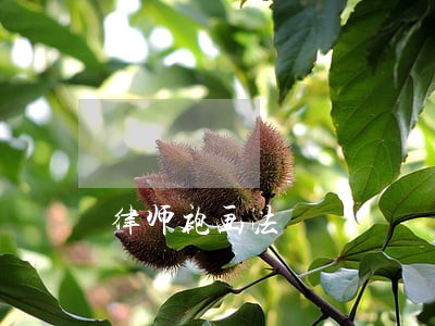 律师袍画法